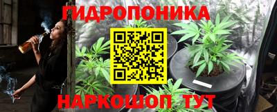 гашик Бузулук