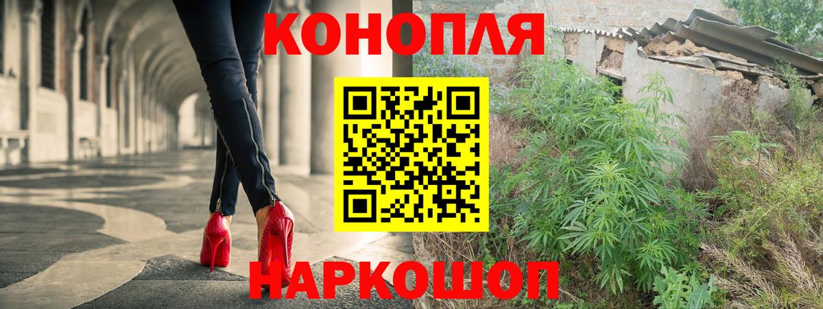 Конопля конопля Курчатов